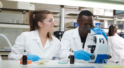 portada farmacia titulaciones relacionadas Enfermería Estudiar en Universidad Privada Madrid