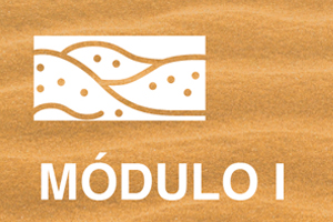 PROGRAMA INTERNACIONAL EN ACOMPAÑAMIENTO modulo 1 pia ufv PROGRAMA INTERNACIONAL EN ACOMPAÑAMIENTO Estudiar en Universidad Privada Madrid