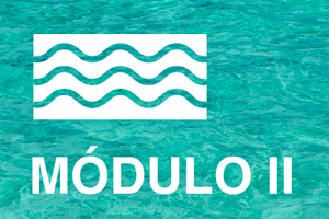 PROGRAMA INTERNACIONAL EN ACOMPAÑAMIENTO modulo 2 pia ufv PROGRAMA INTERNACIONAL EN ACOMPAÑAMIENTO Estudiar en Universidad Privada Madrid