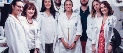 Oficina de Transferencia de Resultados de Investigación (OTRI) grupo de Endocannabinoides e1592384901848 403x174 1 Oficina de Transferencia de Resultados de Investigación (OTRI) Estudiar en Universidad Privada Madrid