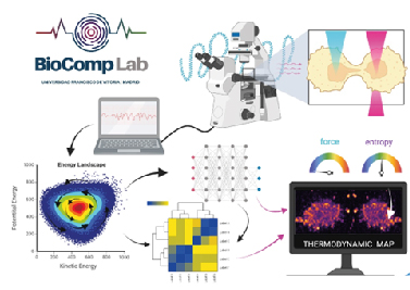 ÁREA BIOTECNOLOGÍA BIOFÍSICA COMPUTACIONAL Y ANÁLISIS DE DATOS BIOLÓGICOS Resumen investigacion ÁREA BIOTECNOLOGÍA BIOFÍSICA COMPUTACIONAL Y ANÁLISIS DE DATOS BIOLÓGICOS Estudiar en Universidad Privada Madrid
