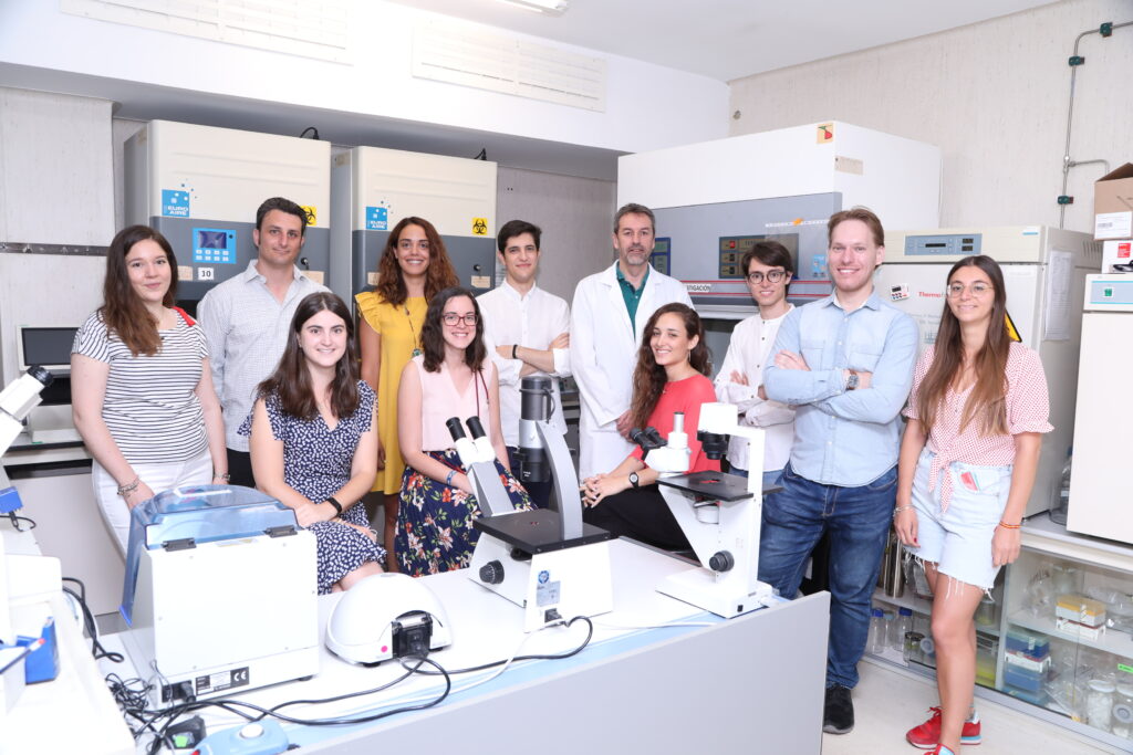 Brain Tumor Research Laboratory FOTO Grupo de investigacion Brain Tumour Lab 1024x683 Brain Tumor Research Laboratory Estudiar en Universidad Privada Madrid