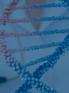 PHD BIOTECHNOLOGY MEDICINE AND BIOMEDICAL SCIENCES PHD BIOTECHNOLOGY cabecera web 225x300 PHD BIOTECHNOLOGY MEDICINE AND BIOMEDICAL SCIENCES Estudiar en Universidad Privada Madrid