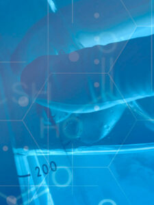 Elite and high performance athletes cabecera investigacion movil web ufv 225x300 Elite and high performance athletes Estudiar en Universidad Privada Madrid