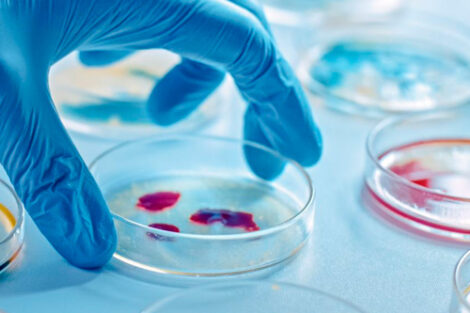 Centros e Institutos de Investigación genetica2 ufv 470x313 Centros e Institutos de Investigación Estudiar en Universidad Privada Madrid