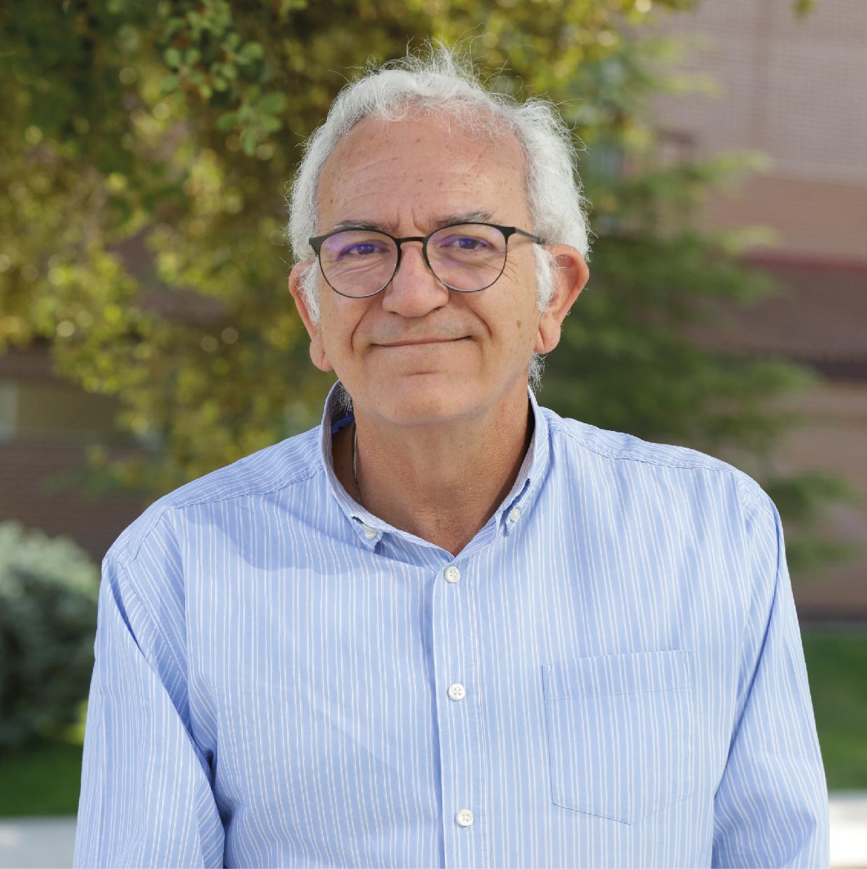 FCom Organizational Chart Miguel Ortega FCom Organizational Chart Estudiar en Universidad Privada Madrid