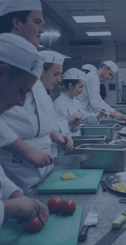 Gastronomy Gastronomia Responsive Gastronomy Estudiar en Universidad Privada Madrid