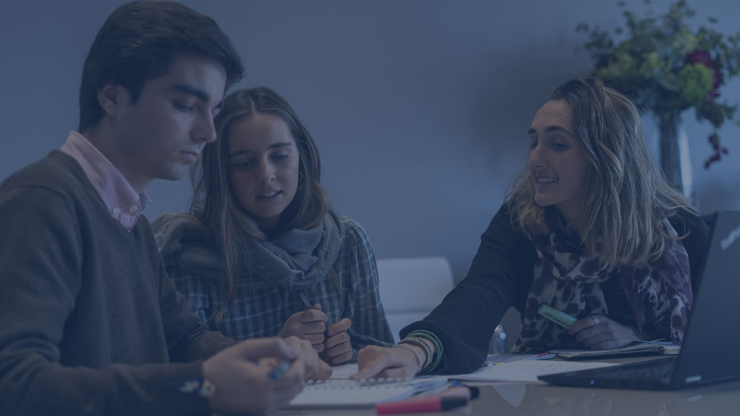 Relaciones Internacionales + International Business Management (bilingüe) IBM RRII Desktop Relaciones Internacionales + International Business Management (bilingüe) Estudiar en Universidad Privada Madrid