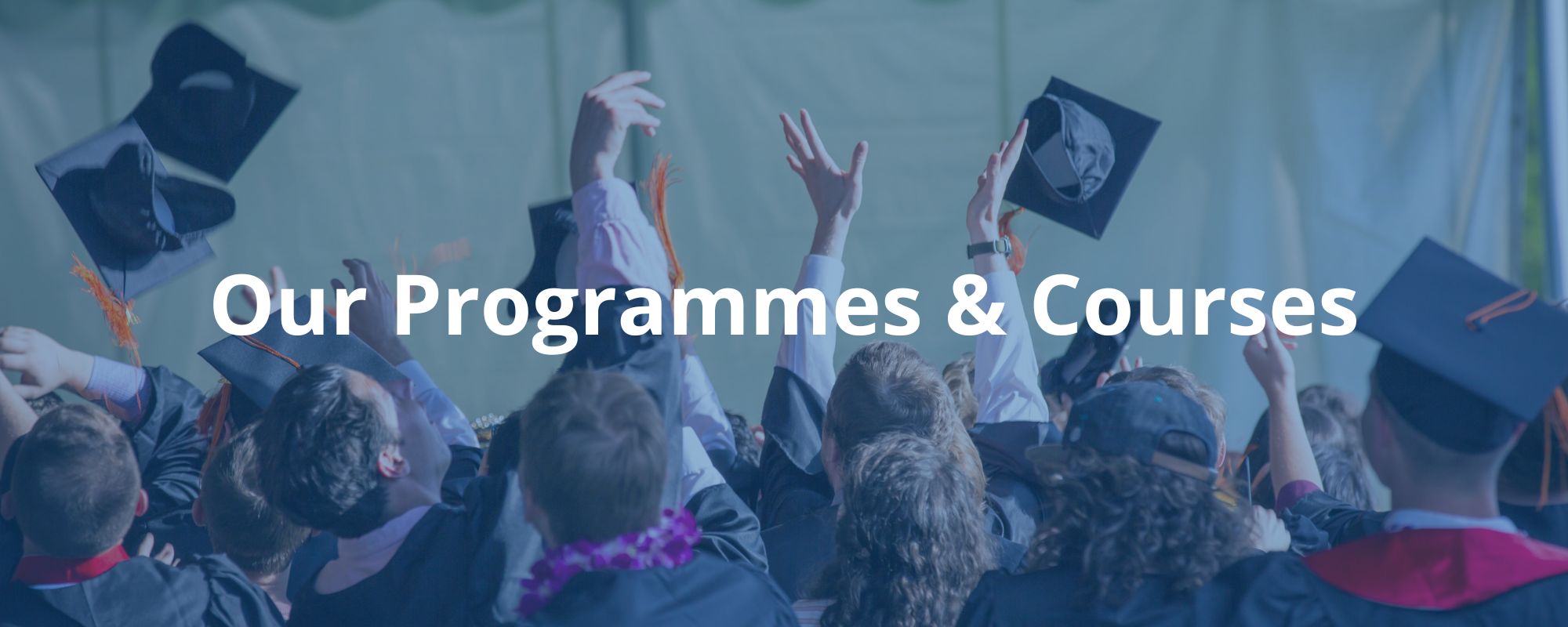 Programmes and courses Our Programmes Courses Programmes and courses Estudiar en Universidad Privada Madrid