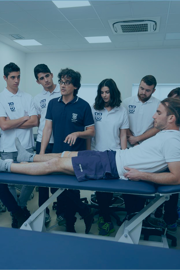 Fisioterapia FISIO WEB3 Fisioterapia Estudiar en Universidad Privada Madrid