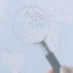 Grados FCom GRADO EN COMUNICACION GLOBAL 150x150 Grados FCom Estudiar en Universidad Privada Madrid