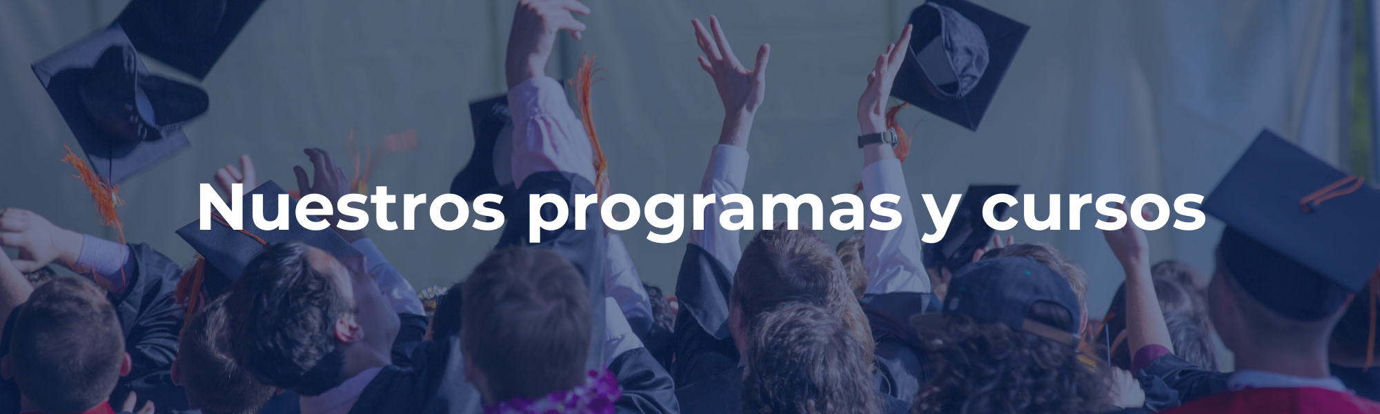 Programas y cursos Banner Schools of Character Programas y cursos Estudiar en Universidad Privada Madrid