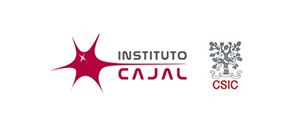 Ingeniería Biomédica Ingenieria biomedica 0000 logo institutocajal Ingeniería Biomédica Estudiar en Universidad Privada Madrid