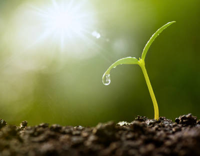 Centros e Institutos de Investigación centro virtudes y valores 400 313 Centros e Institutos de Investigación Estudiar en Universidad Privada Madrid