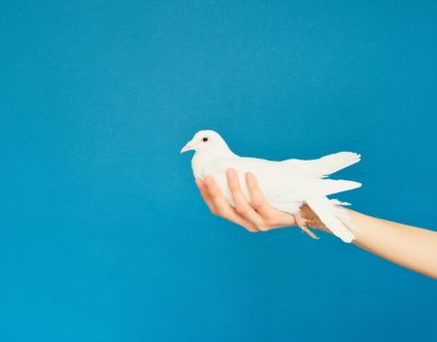 Centros e Institutos de Investigación instituto del perdon 400 313 Centros e Institutos de Investigación Estudiar en Universidad Privada Madrid