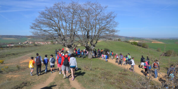 Camino de Santiago 600x300 Pastoral FCOM Estudiar en Universidad Privada Madrid