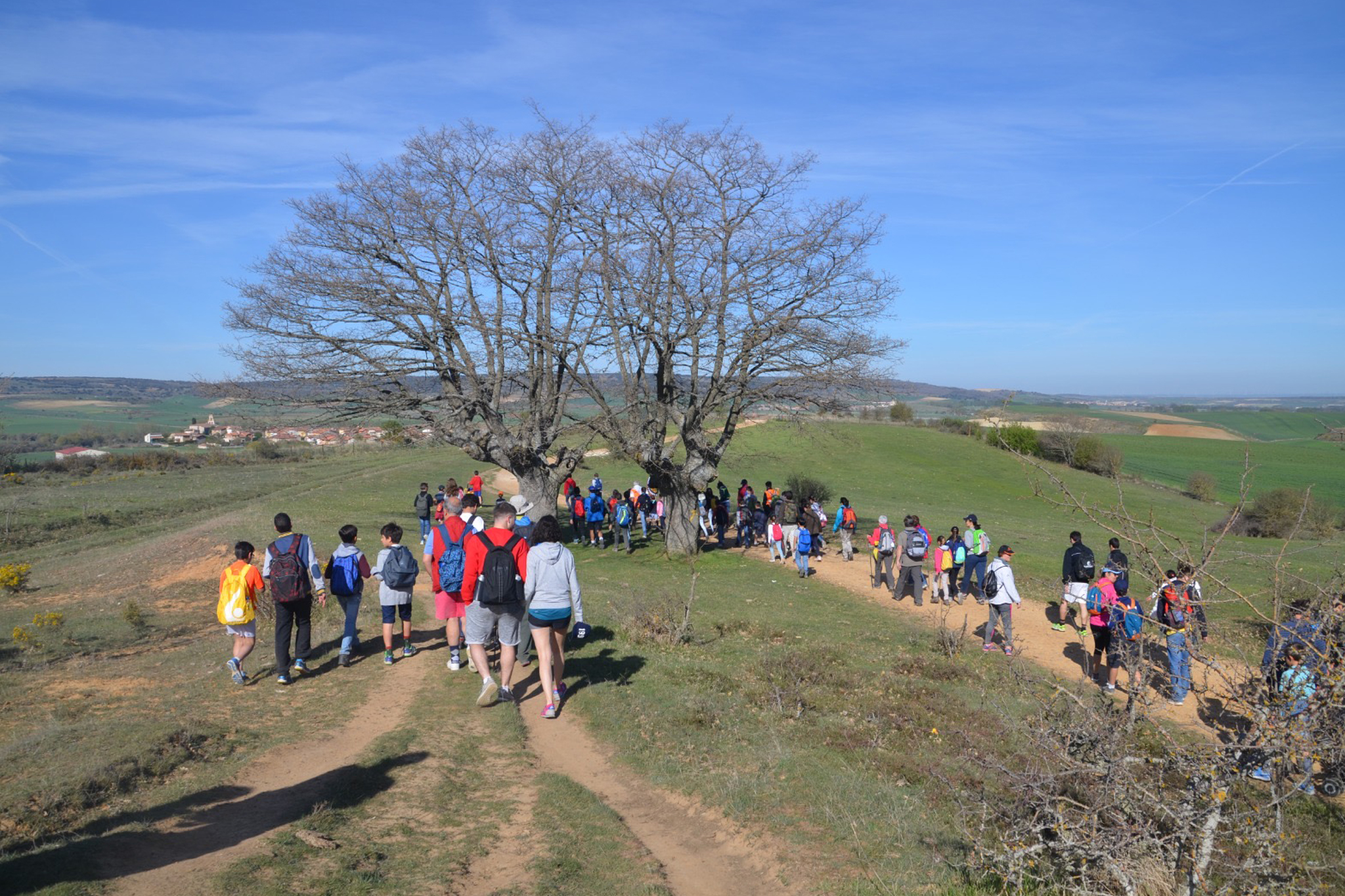 FCOM MINISTRY Camino de Santiago FCOM MINISTRY Estudiar en Universidad Privada Madrid