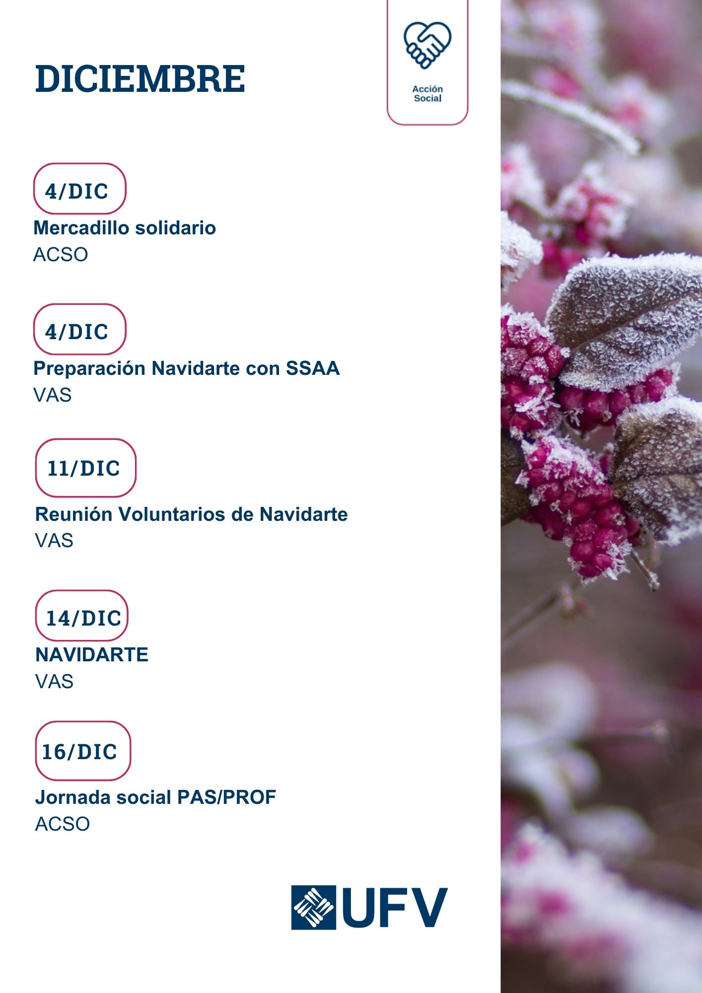 VAS REPORTE VAS 24 25 3 VAS Estudiar en Universidad Privada Madrid