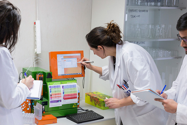 University Degrees Grado Farmacia University Degrees Estudiar en Universidad Privada Madrid