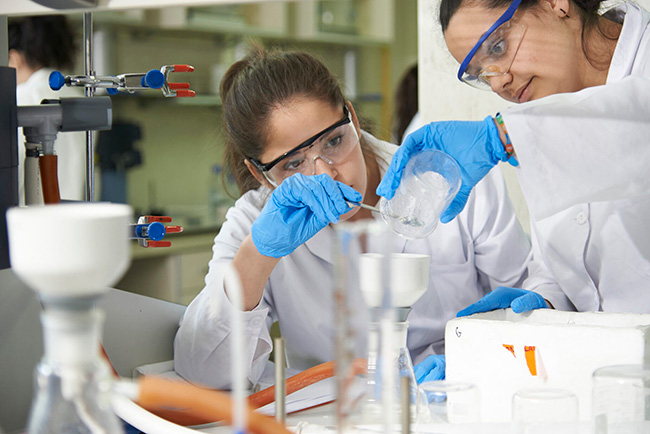 University Degrees Grado Genetica University Degrees Estudiar en Universidad Privada Madrid