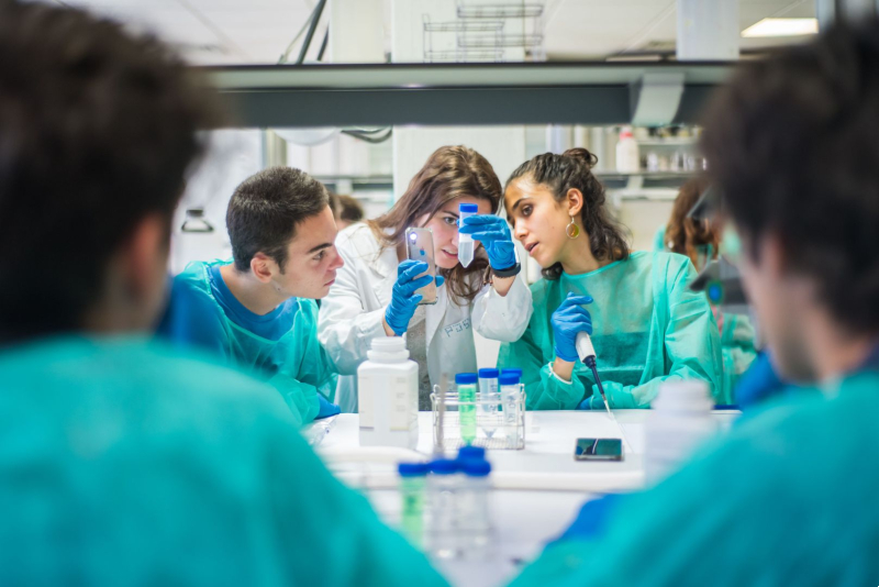 Summer Campus UFV 1080 134090e4 07d5 4f36 a24e 4531e40af947 Summer Campus UFV Estudiar en Universidad Privada Madrid