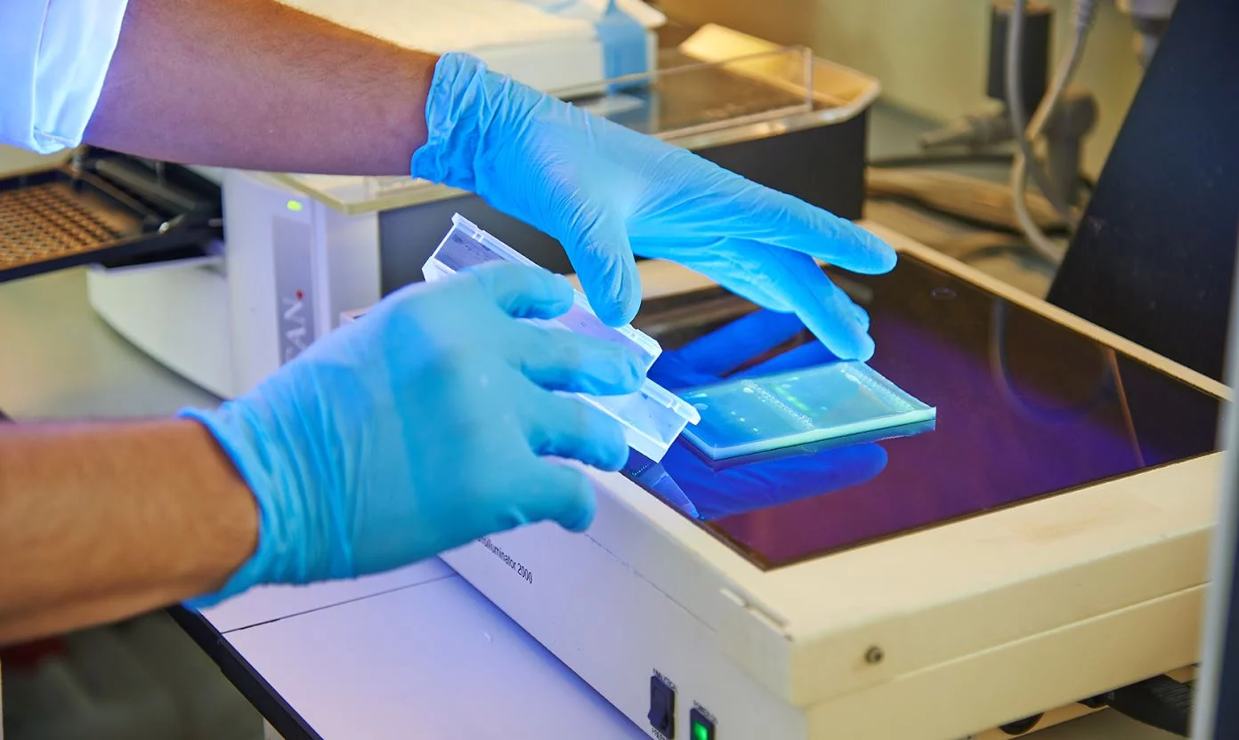Genetics %name Genetics Estudiar en Universidad Privada Madrid