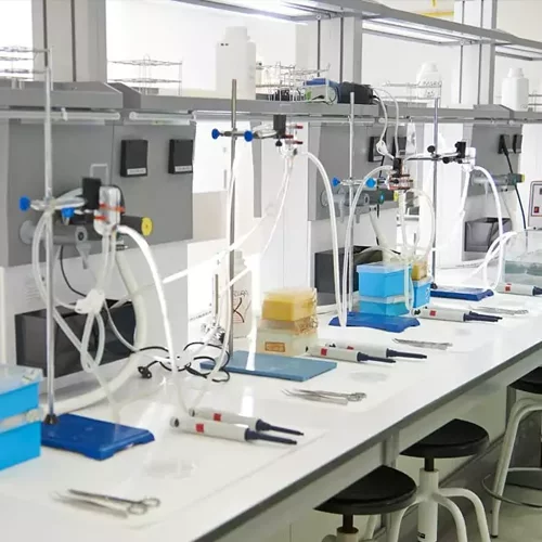 Biotechnology %name Biotechnology Estudiar en Universidad Privada Madrid