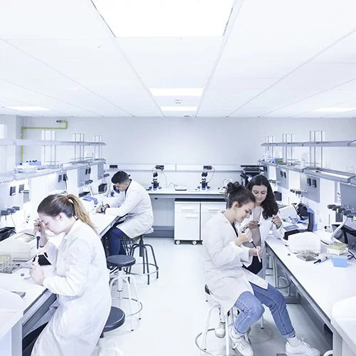 Biomedicine %name Biomedicine Estudiar en Universidad Privada Madrid