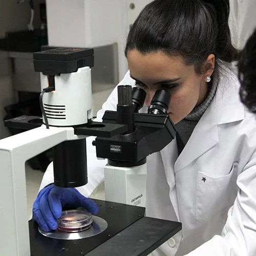 Biomedicine %name Biomedicine Estudiar en Universidad Privada Madrid