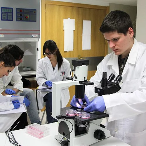 Biomedicine %name Biomedicine Estudiar en Universidad Privada Madrid