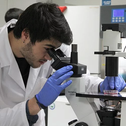 Biomedicine %name Biomedicine Estudiar en Universidad Privada Madrid