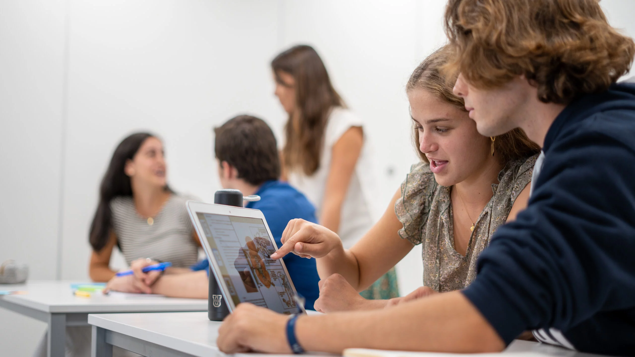International Business Management %name International Business Management Estudiar en Universidad Privada Madrid