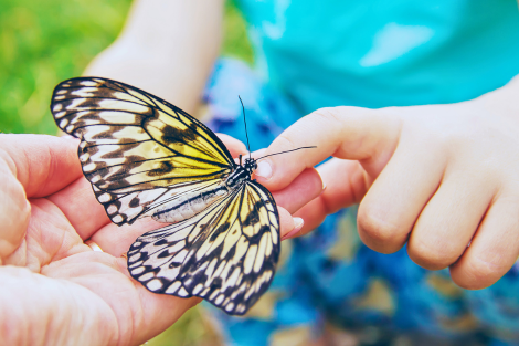 Centros e Institutos de Investigación Imagen Boton Centro Atencion Diversidad Educativa 470 x 313 px Centros e Institutos de Investigación Estudiar en Universidad Privada Madrid