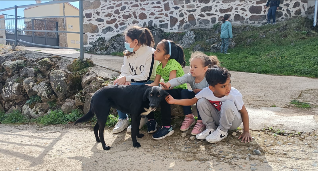 Imagen10 CATEDRA DE INMIGRACION Estudiar en Universidad Privada Madrid