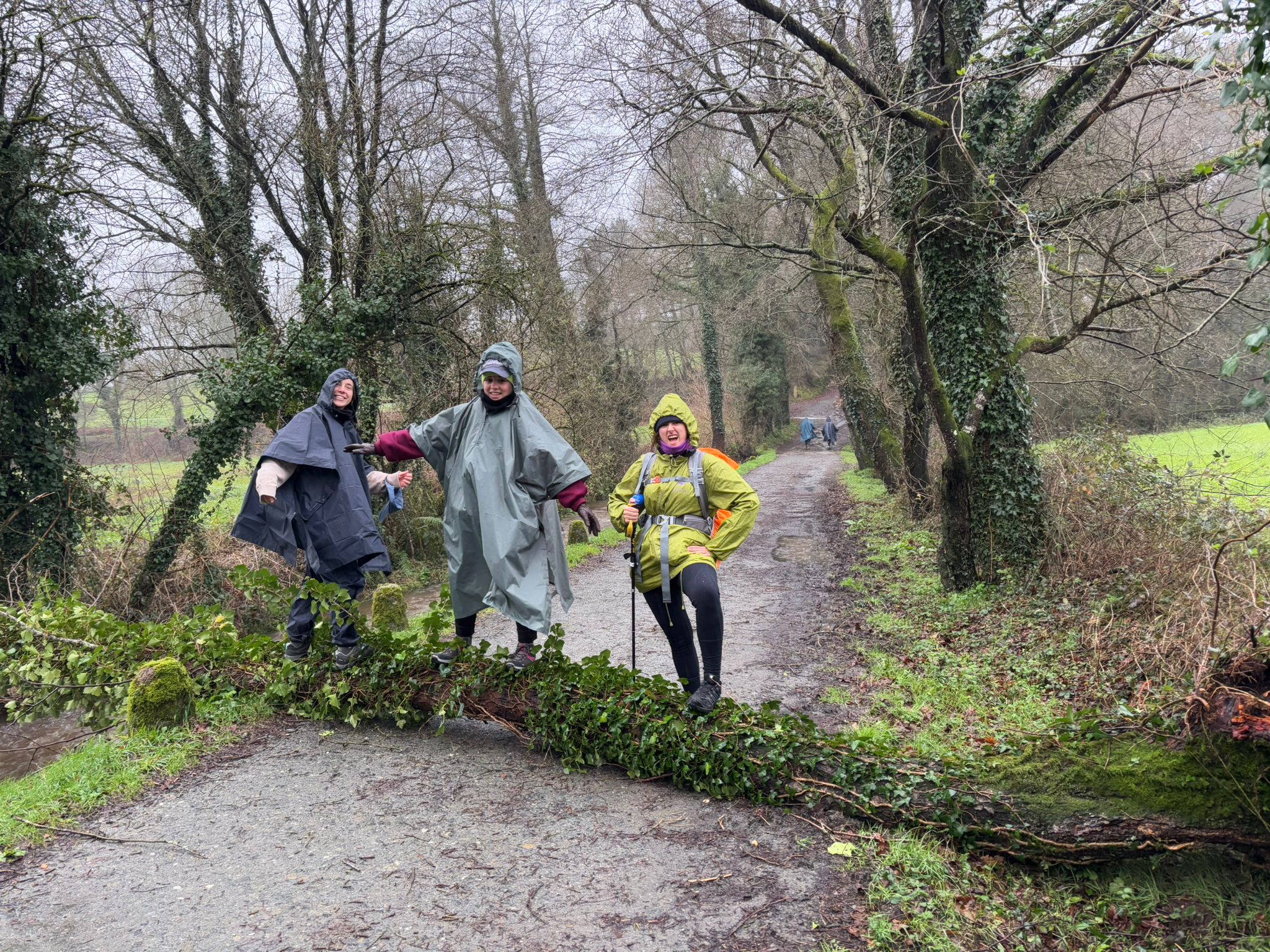 Grados FCom Pastoral 7 Grados FCom Estudiar en Universidad Privada Madrid