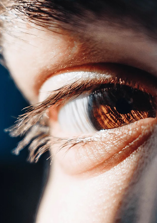 proposito 8 Scholarships for international students Estudiar en Universidad Privada Madrid