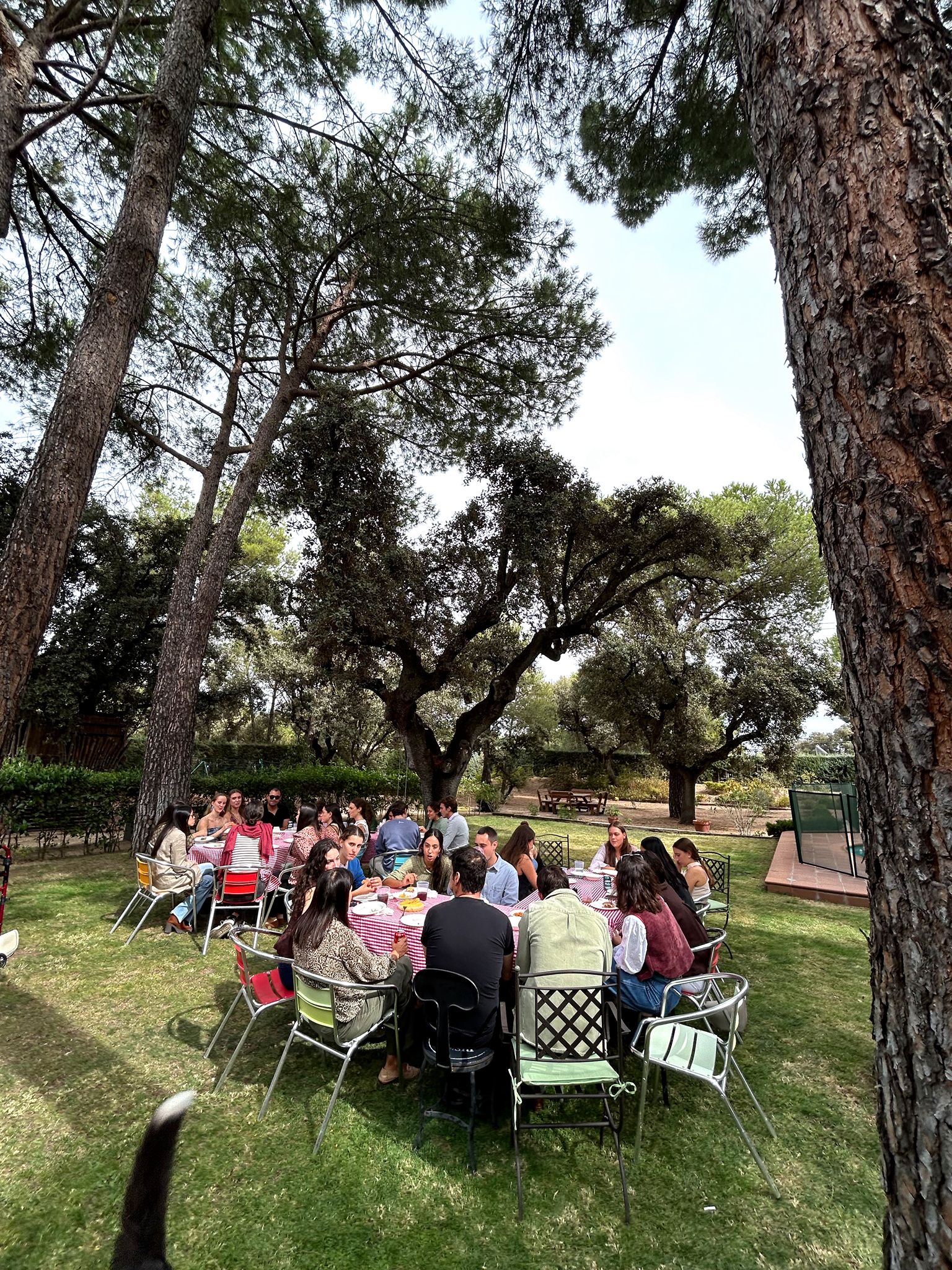 Internal Meetings %name Internal Meetings Estudiar en Universidad Privada Madrid